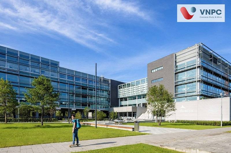 Đăng nhập King88 vina nhận +888K hà lan ngành logistics
